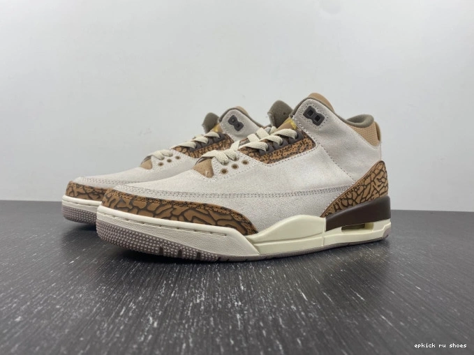 CT8532-102 Jordan Palomino Air 3 0821